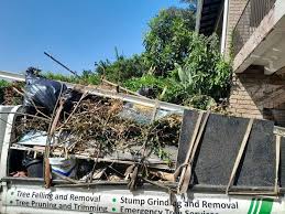 Best Scrap Metal Removal  in Earlysville, VA